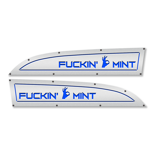 Remplacement des badges d'aile Ford® Super Duty® 11-16 F*ckin' Mint - Entièrement personnalisable, LED et non LED